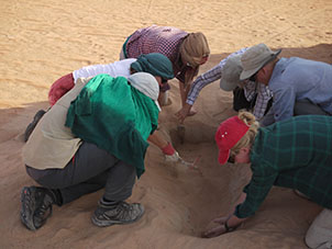 interdune_trench